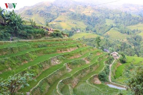 Terraced paddy fields in Tung San Commune - ảnh 7